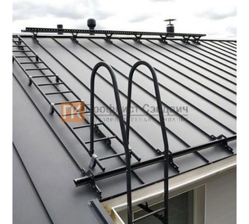 Лестница кровельная Эконом РПФ-ЛСК-1850 (4 кроншт.)