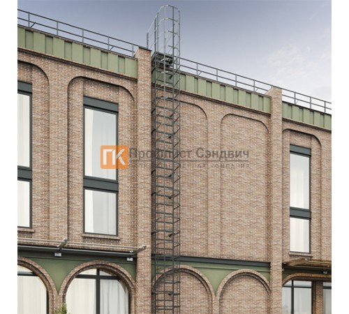 Полотно пожарной лестницы ОЦ РП-ПЛ1-2450 (уголок кроншт. с доп отв.)