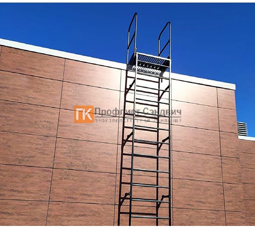 Полотно пожарной лестницы ОЦ РП-ПЛ1-2450 (уголок кроншт. с доп отв.)