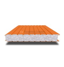 Сэндвич-панель для холодильных камер с пенополистиролом, ширина 1000 мм, толщина 50 мм, 0.5/0.5, RAL2004