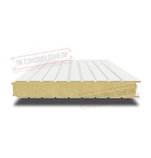 Сэндвич панели стеновые с пенополиуретаном, ширина 1000 мм, толщина 20 мм, 0.5/0.5, RAL9003